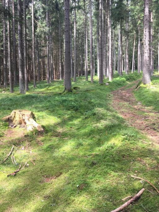 Apartmán Borůvka Železná Ruda Exterior foto