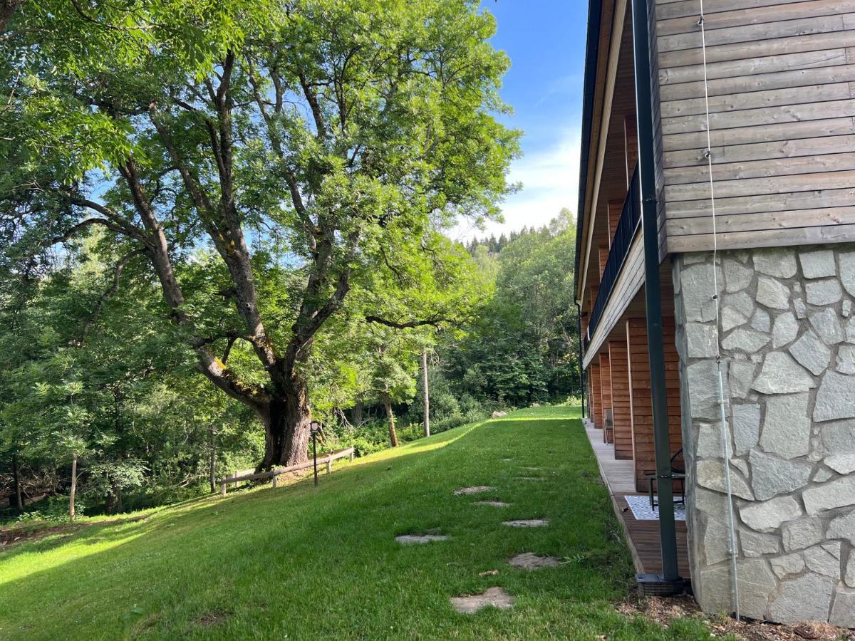 Apartmán Borůvka Železná Ruda Exterior foto