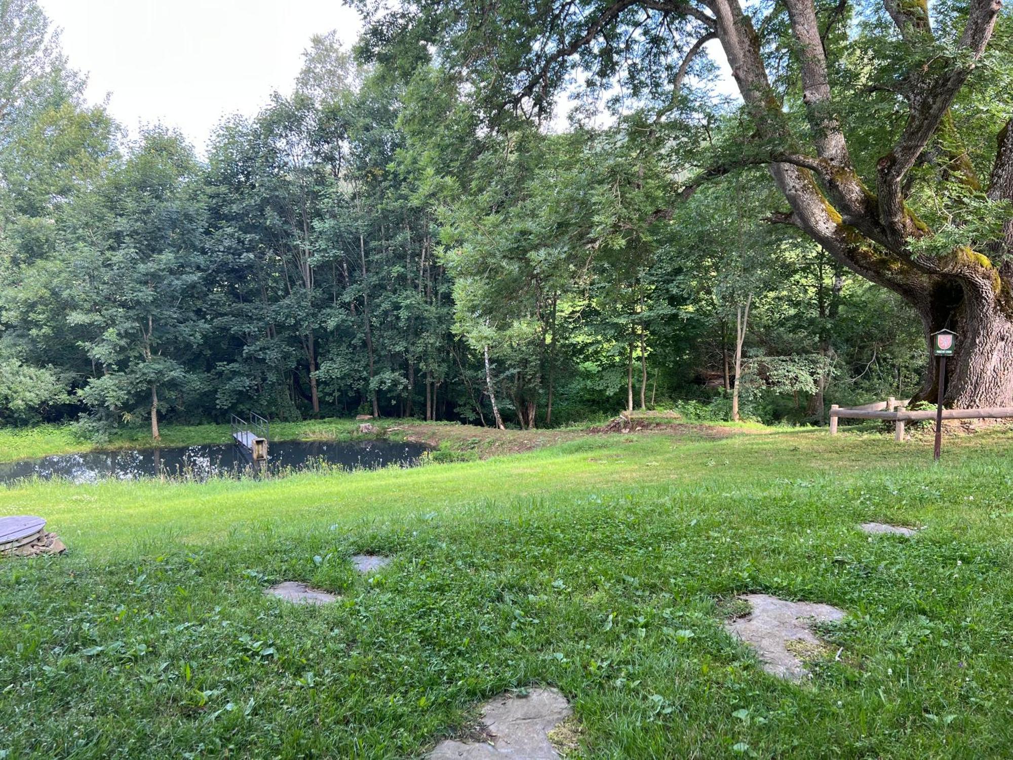 Apartmán Borůvka Železná Ruda Exterior foto
